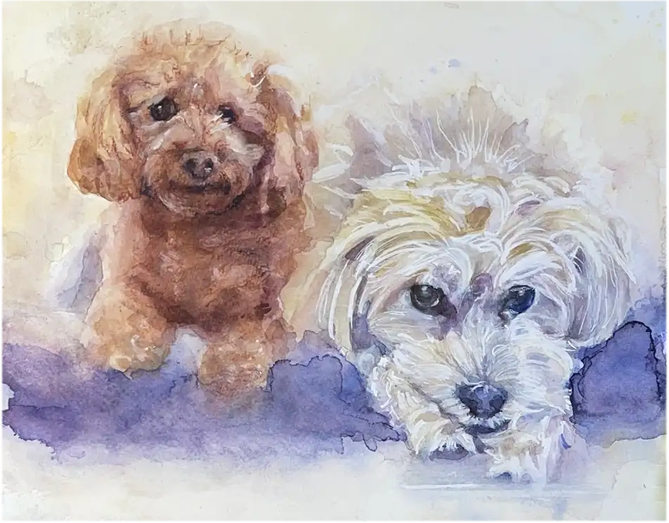 Watercolor portrait of a Labradoodle and Poodle created as a custom commission, capturing personality, expression, and a lasting emotional connection