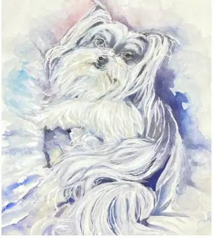 Watercolor memorial portrait of a small white dog, thoughtfully reconstructed from reference images to preserve personality, expression, and a sense of presence